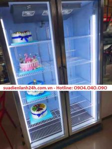 Tủ mát cũ Sanaky 1000lit