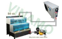 Tư vấn - lắp đặt máy làm lạnh nước bể hải sản