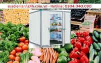 Lắp đặt kho lạnh Mini bảo quản rau củ quả