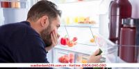Nguyên nhân và cách khắc phục tủ lạnh có mùi khó chịu
